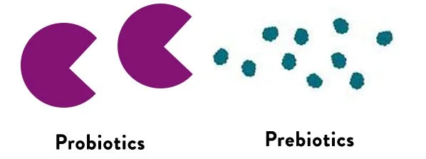 probioticos.jpg