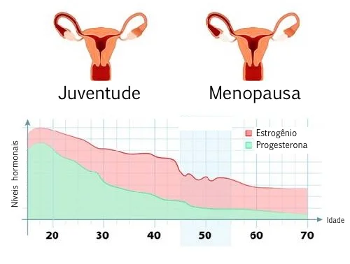 hormonios.jpg