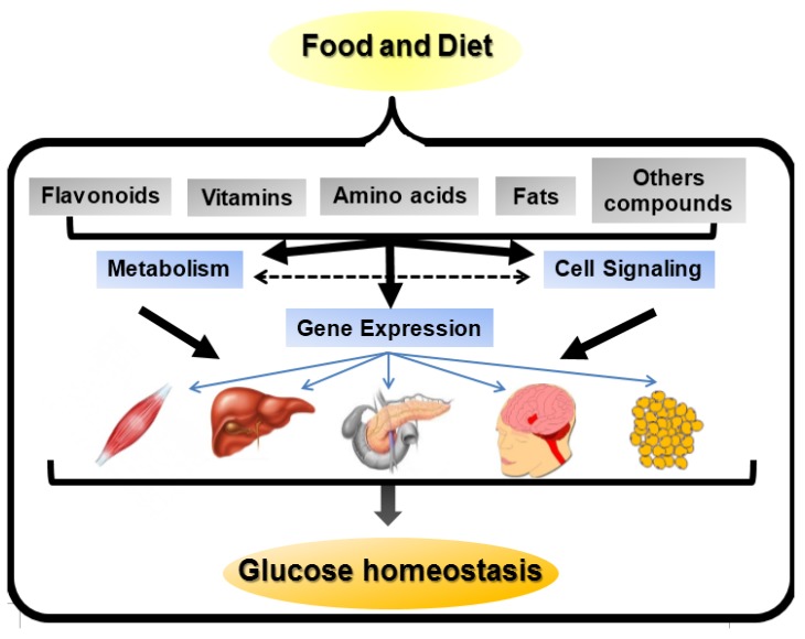 nutrients-06-05338-g001.jpg