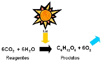 fluxo_energia1.jpg