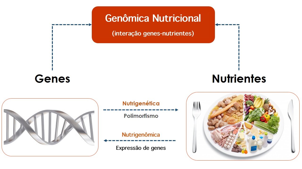 Nutrição de precisão: a ciência da nutrição individualizada e que leva em conta a sua genética