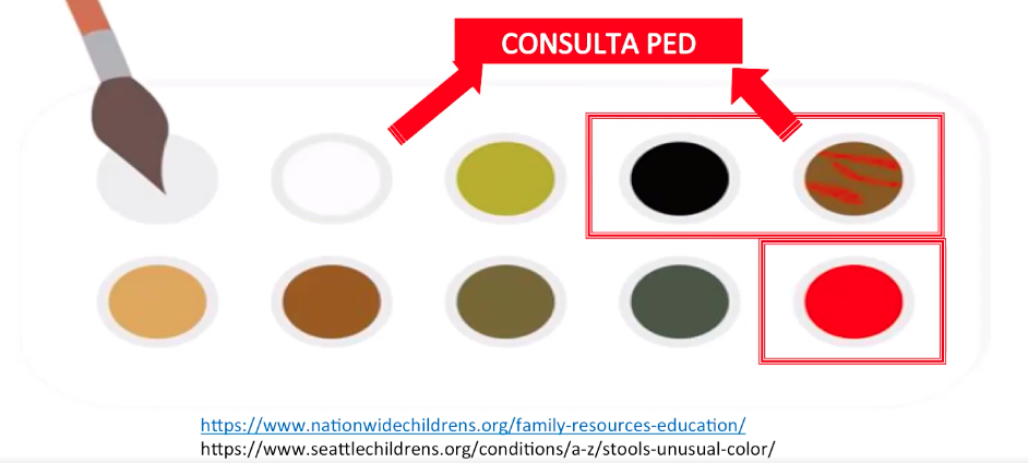 Fezes Amarelas Nas Fraldas, Estas Fezes São Cores Normais Para