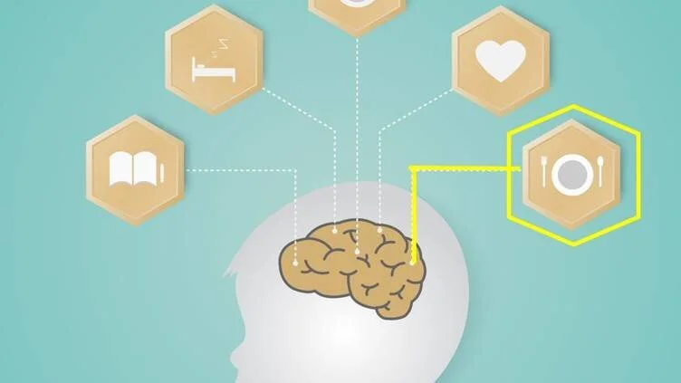 Abordagem sistêmica para melhoria da cognição