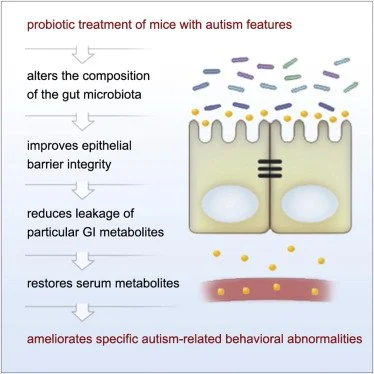 Uso de probióticos no autismo