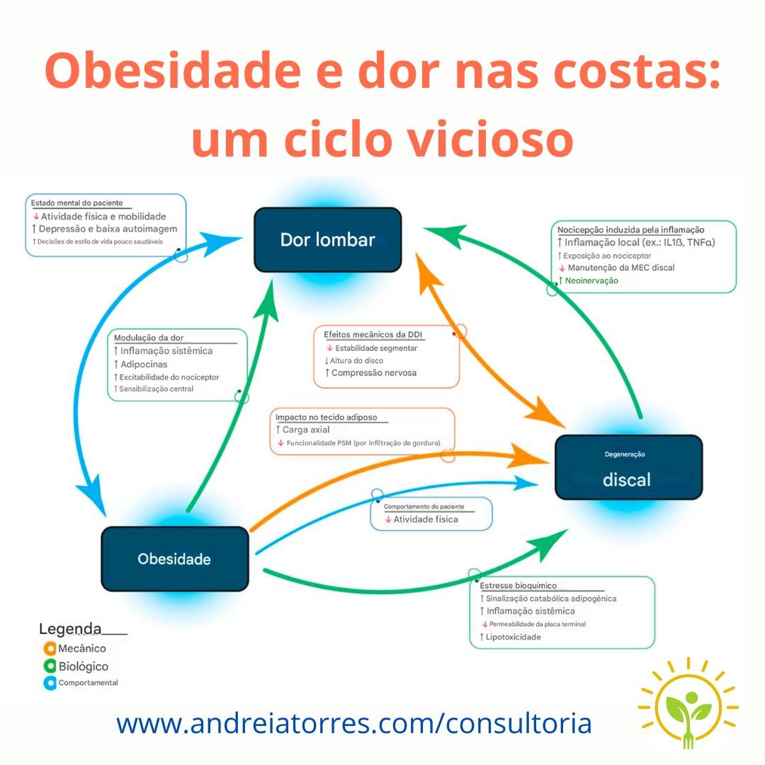Obesidade e dor nas costas: um ciclo vicioso