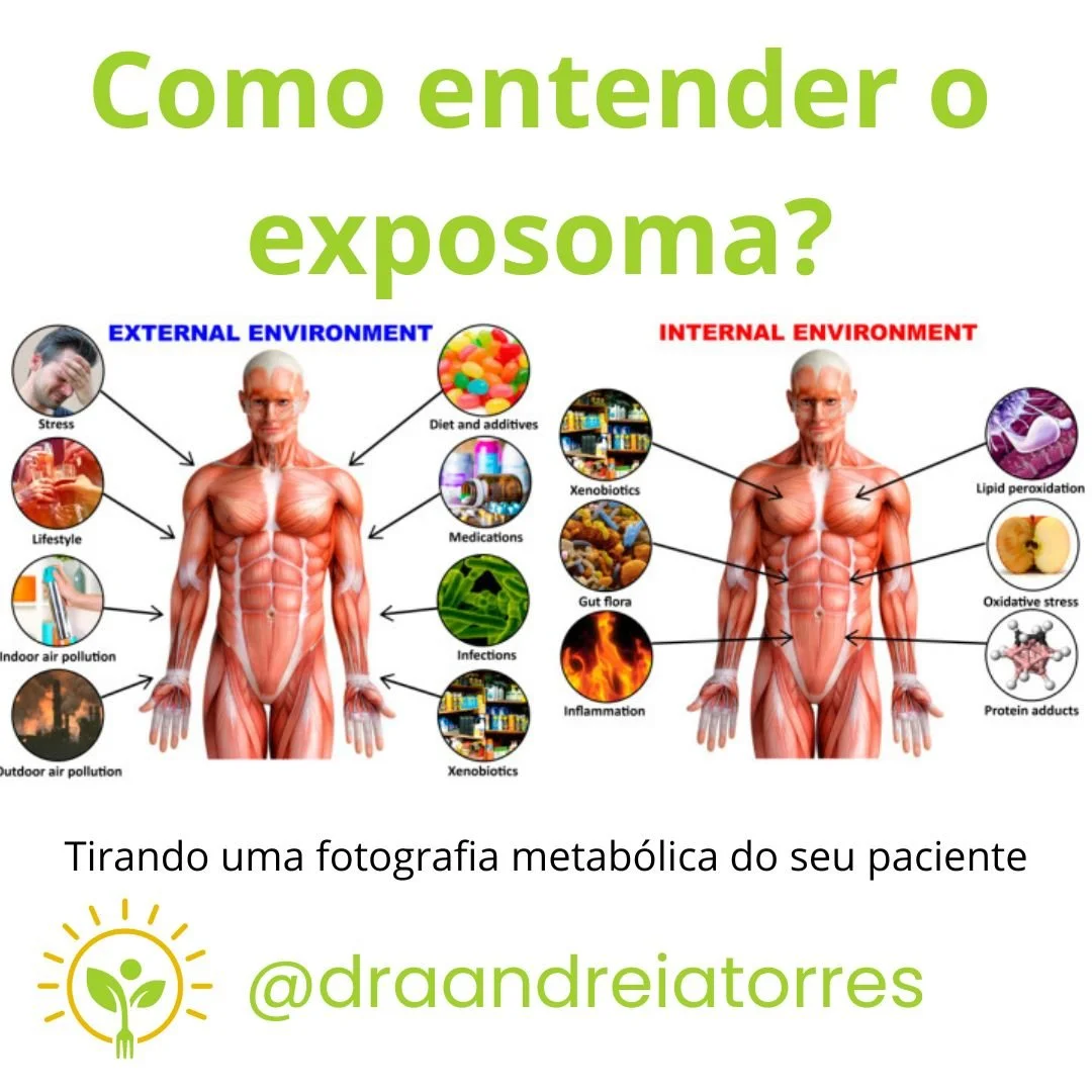 Como entender o exposoma?
