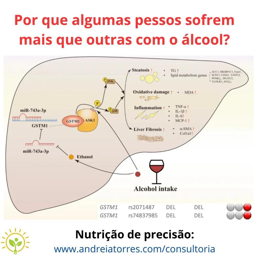🍷 Álcool e fígado: qual o papel do gene GSTM1?