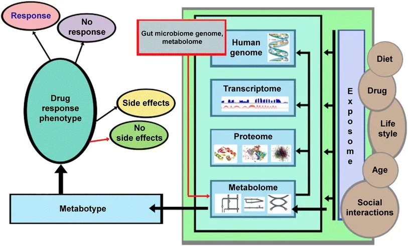 Metabolômica das vitaminas do complexo B