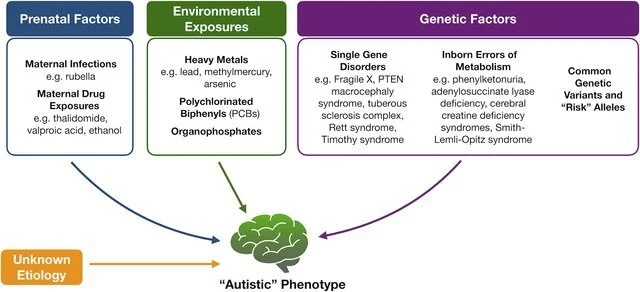 Autismo e erros inatos do metabolismo