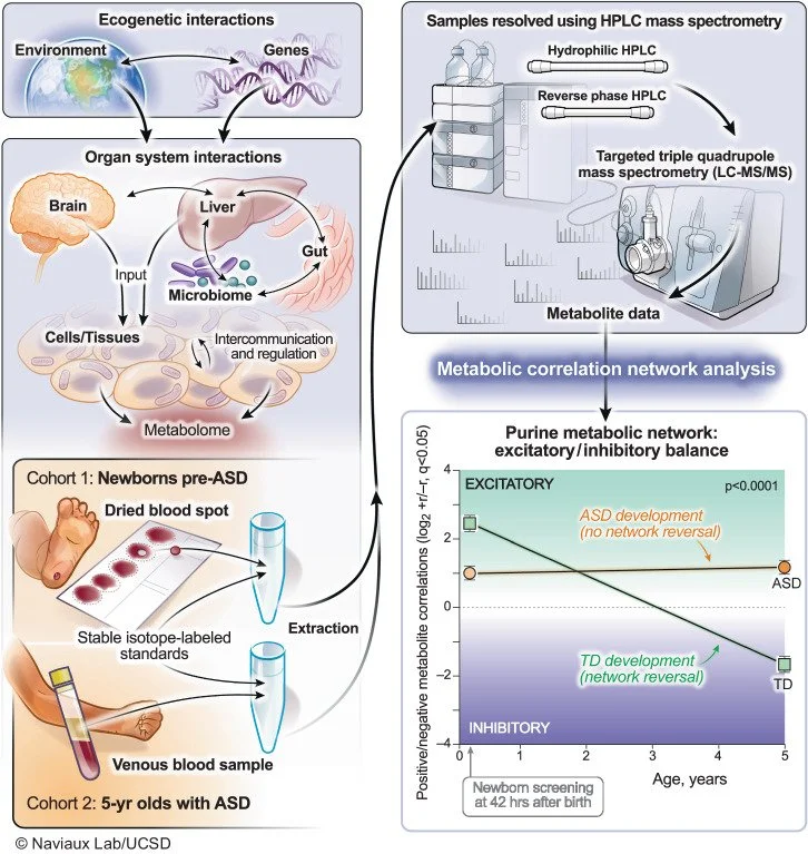 Alterações metabolicas no TEA já estão presentes ao nascimento