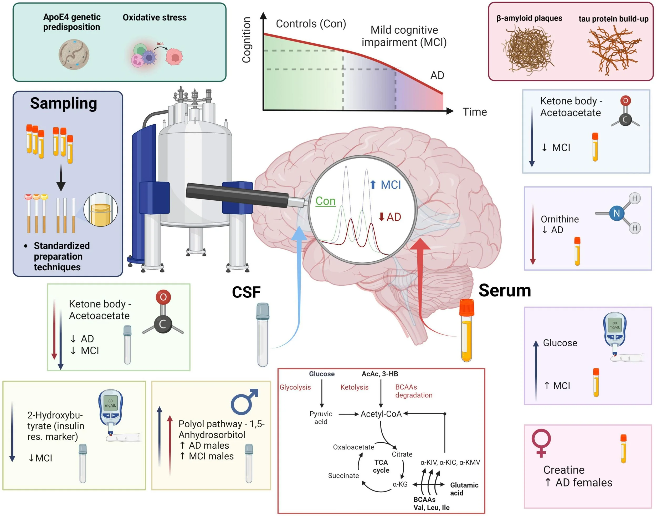 Neurometabolômica