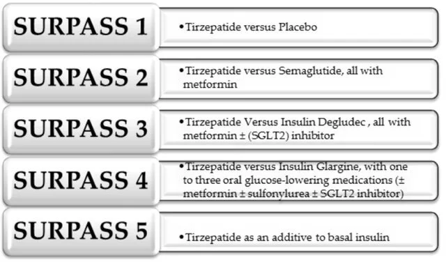 Tirzepatida e perda de peso: mecanismos e evidências clínicas