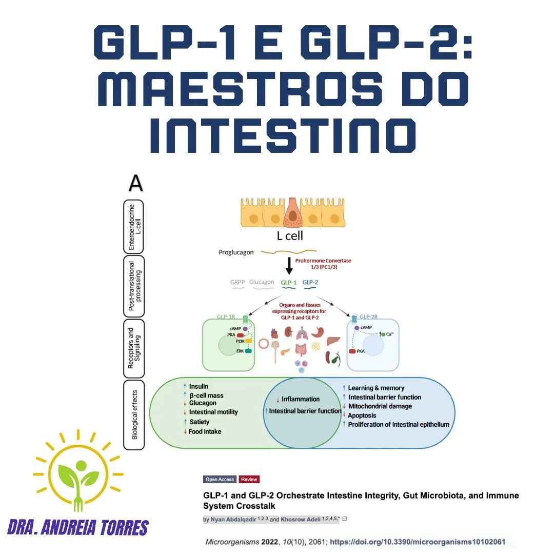 MAESTROS DO INTESTINO