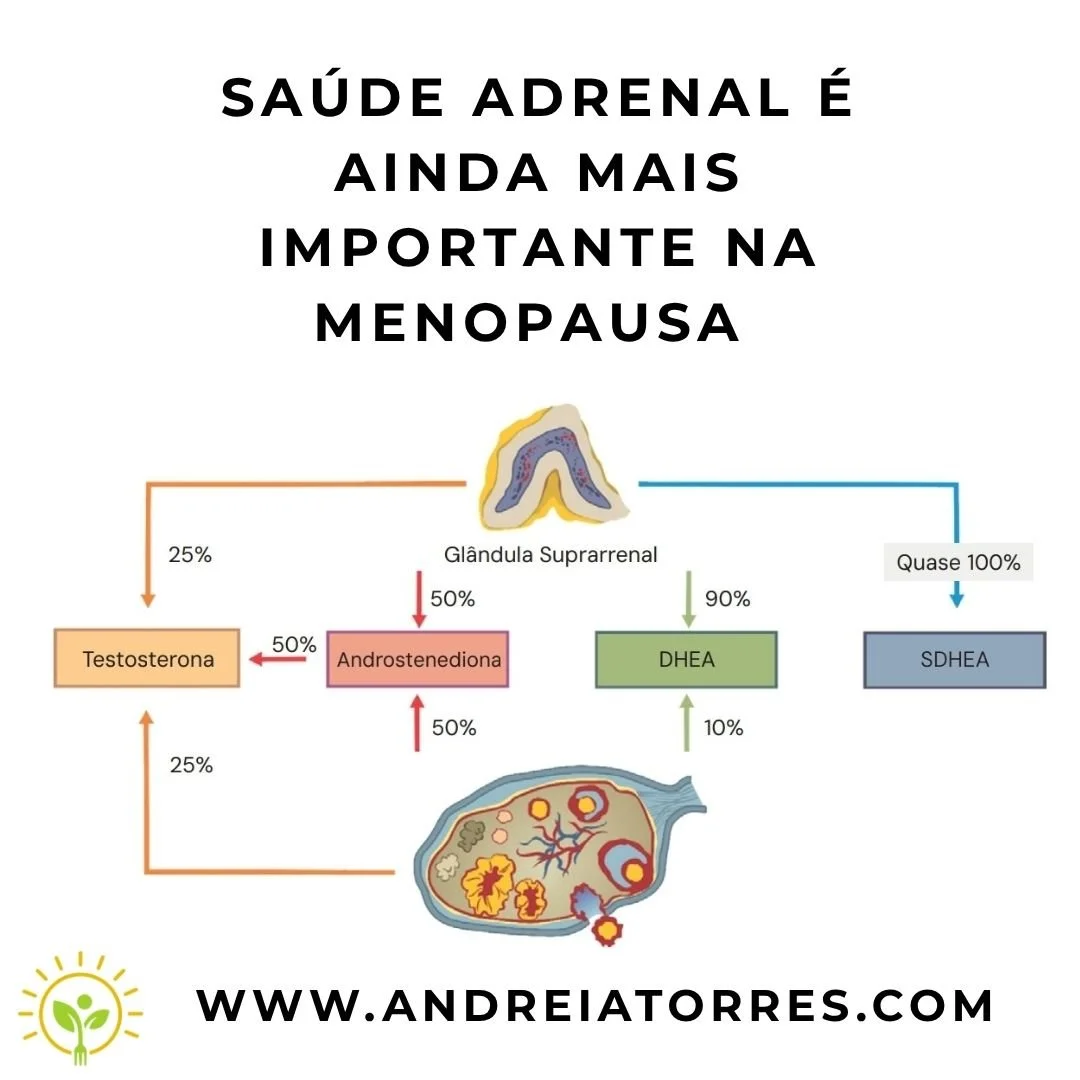 SAÚDE ADRENAL NA MENOPAUSA