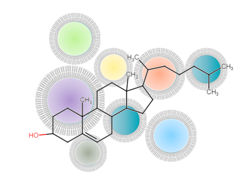  Lipidômica: estrutura, função e impacto clínico do lipidoma humano