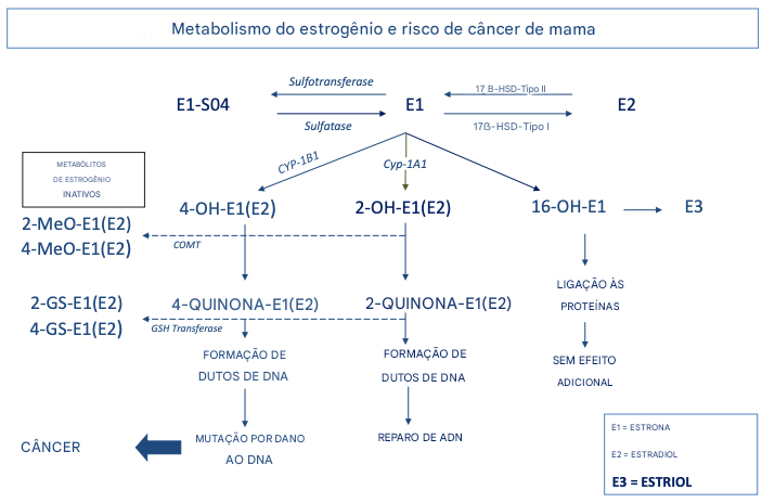 Metabolismo dos estrógenos e risco de cancer de mama