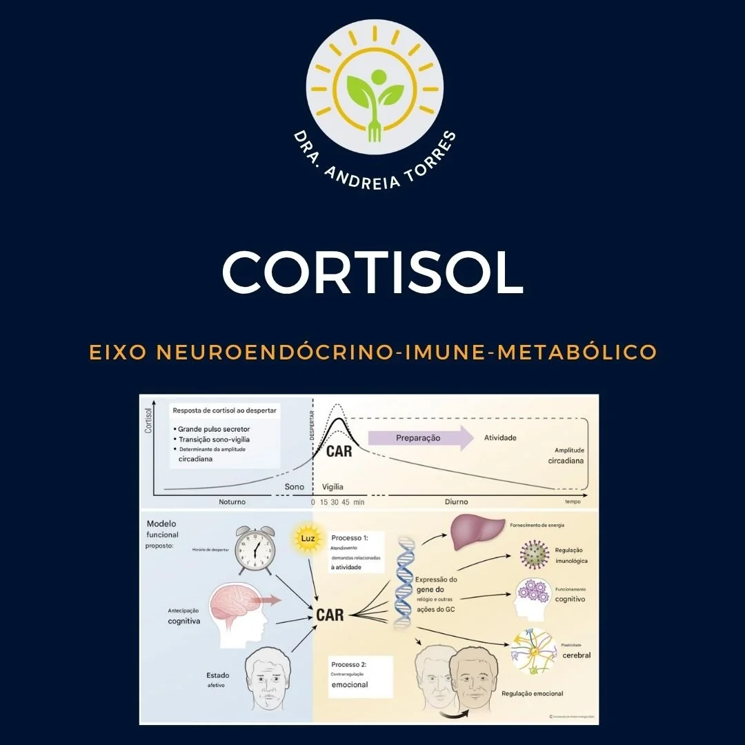 O despertar n&atilde;o &eacute; apenas um evento comportamental. &Eacute; um gatilho neuroend&oacute;crino altamente organizado.

Nos primeiros 30&ndash;45 minutos ap&oacute;s acordar ocorre uma eleva&ccedil;&atilde;o aguda do cortisol mediada pelo e