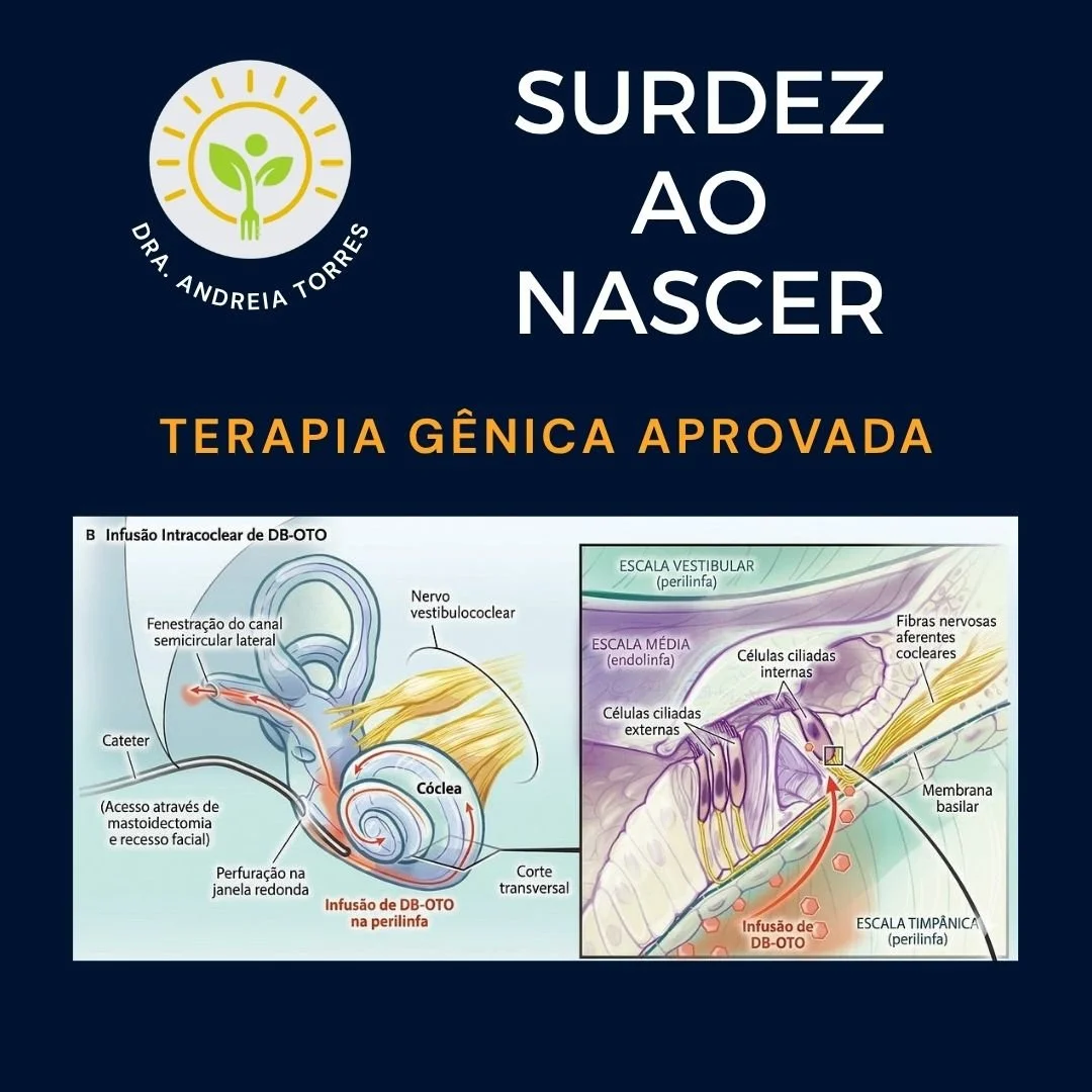 Existe uma forma rara de surdez cong&ecirc;nita causada por muta&ccedil;&otilde;es no gene OTOF.

Esse gene codifica a otoferlina, prote&iacute;na essencial na transdu&ccedil;&atilde;o sin&aacute;ptica das c&eacute;lulas ciliadas internas. Sem ela, o