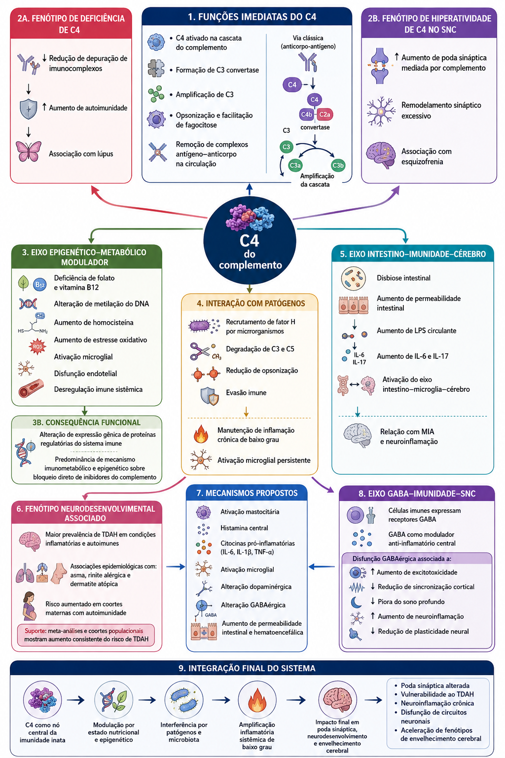 Inflamação materna e risco de TEA e TDAH