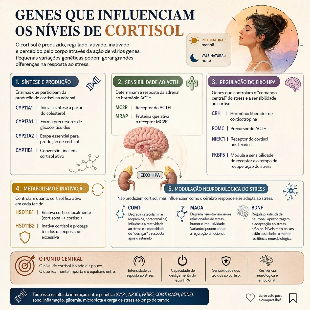 O cortisol faz parte de um sistema altamente regulado, em que gen&eacute;tica e ambiente determinam como o corpo reage, sustenta e encerra uma resposta ao stress.

A depender da gen&eacute;tica da pessoa ela pode produzir mais ou menos cortisol, degr