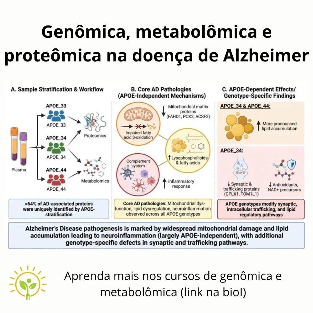 O Alzheimer est&aacute; deixando de ser visto apenas como uma doen&ccedil;a neurol&oacute;gica para ser compreendido tamb&eacute;m como uma doen&ccedil;a metab&oacute;lica e sist&ecirc;mica.

Um dos estudos mais relevantes publicados em 2026 na Advan