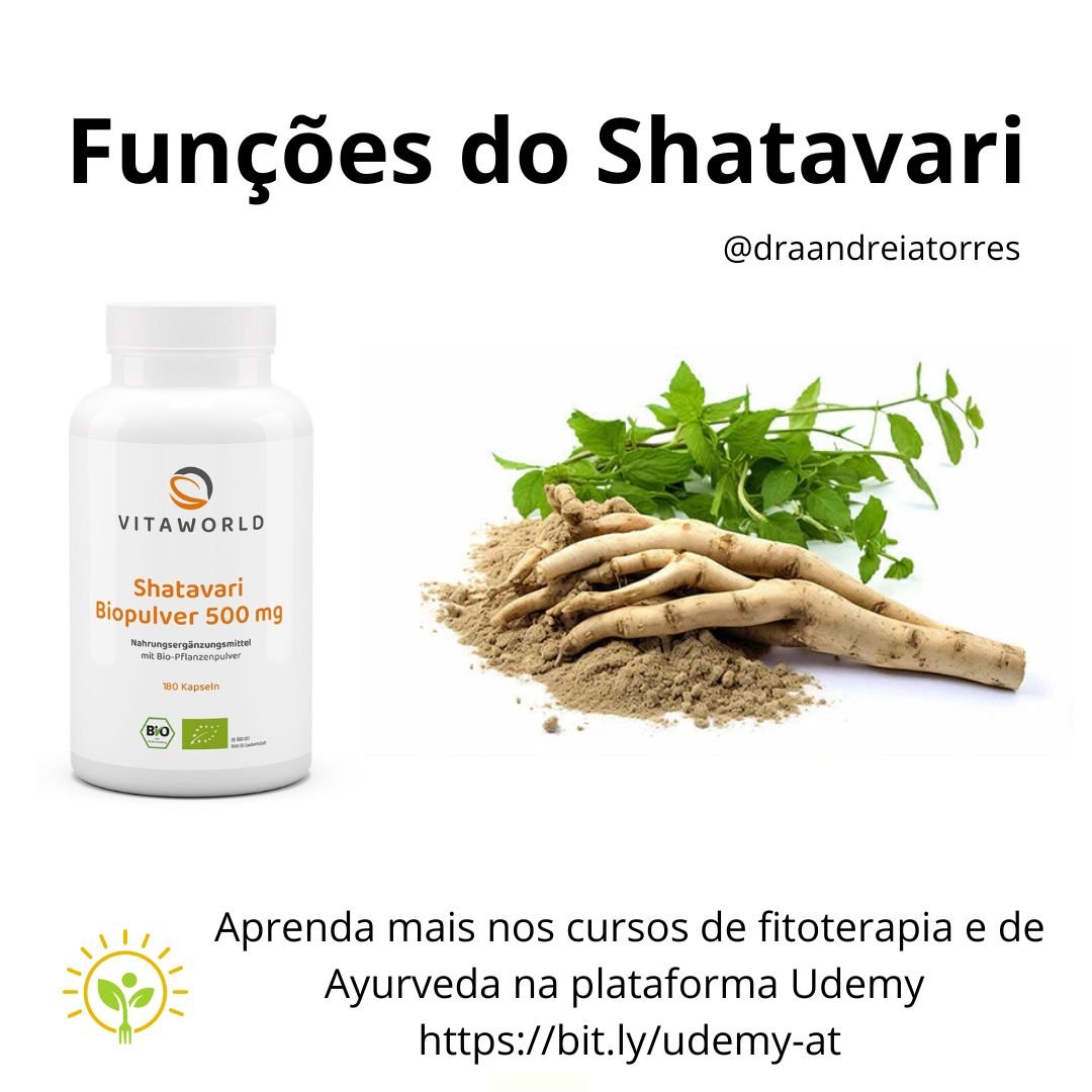 Shatavari: evidências científicas, mecanismos e aplicações clínicas