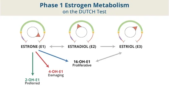 Metabolismo de estrogênio e câncer de mama