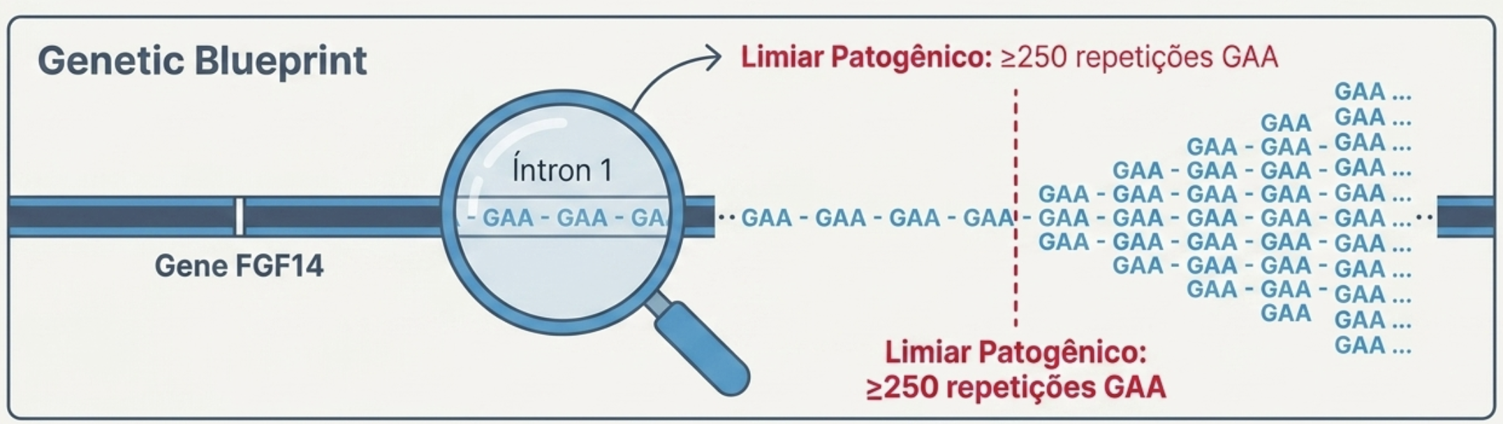 SCA27B: a ataxia genética causada por uma expansão no gene FGF14
