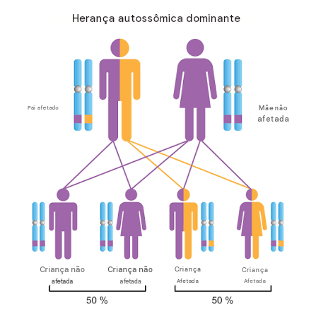 Ataxia SCA27B: como eu faria um estudo metabólico?