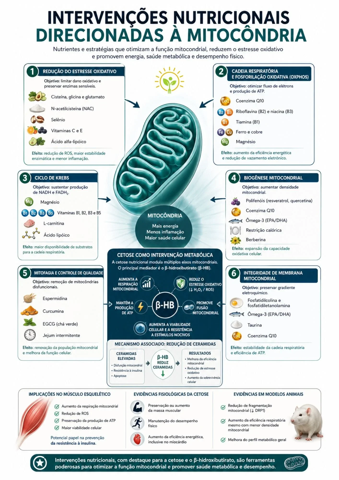 TDAH, estresse oxidativo e mitocôndrias: onde entra a nutrição?
