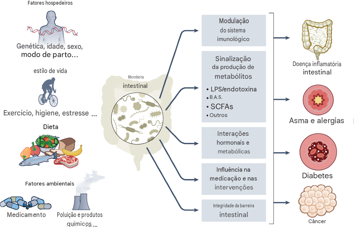 Microbiota intestinal e câncer