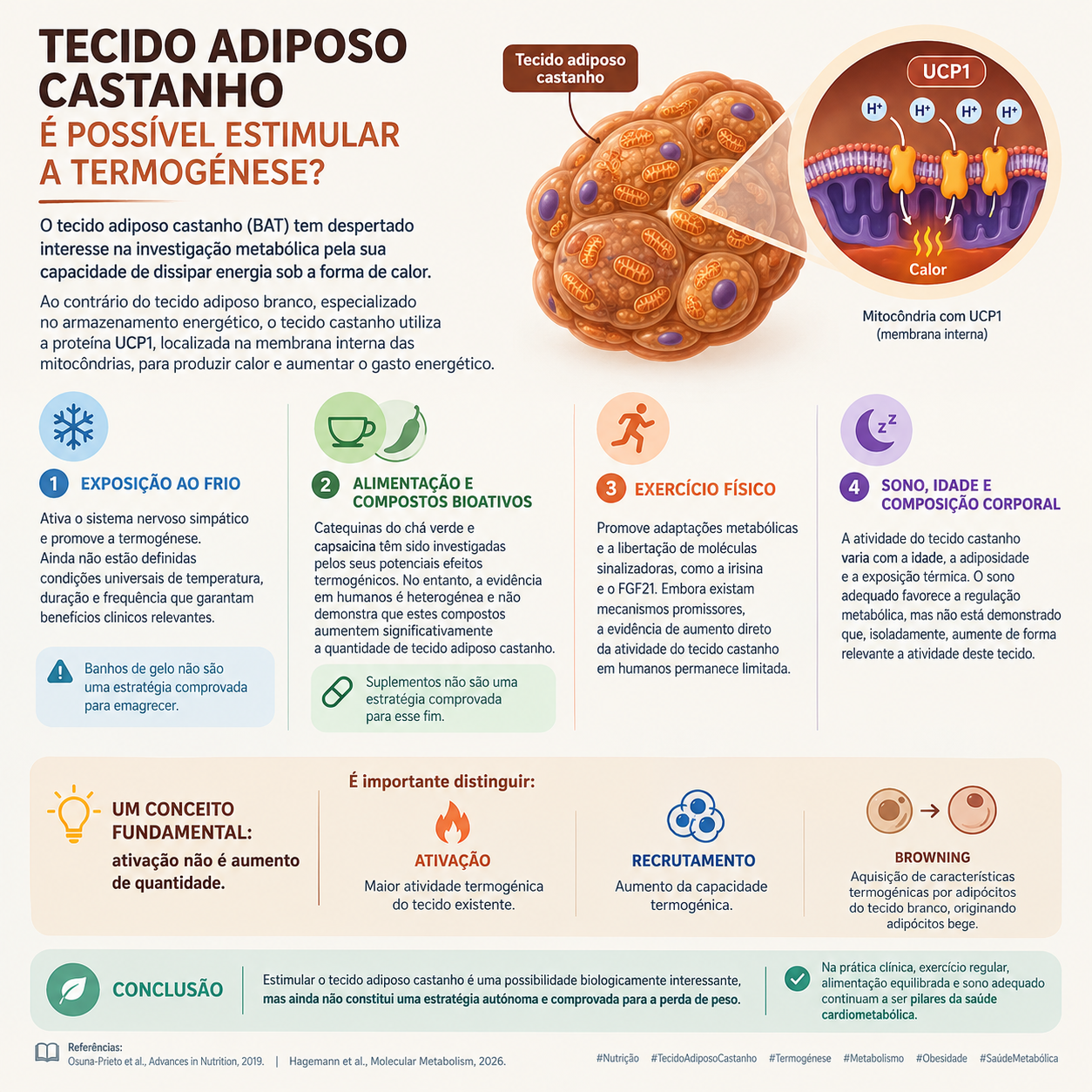 Tecido adiposo castanho: estratégias para aumentar a sua atividade e potencial termogénico