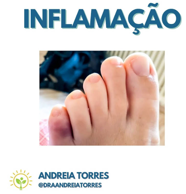 Ômega 3 vs. Ômega 6 vs. Ômega 9 — ANDREIA TORRES