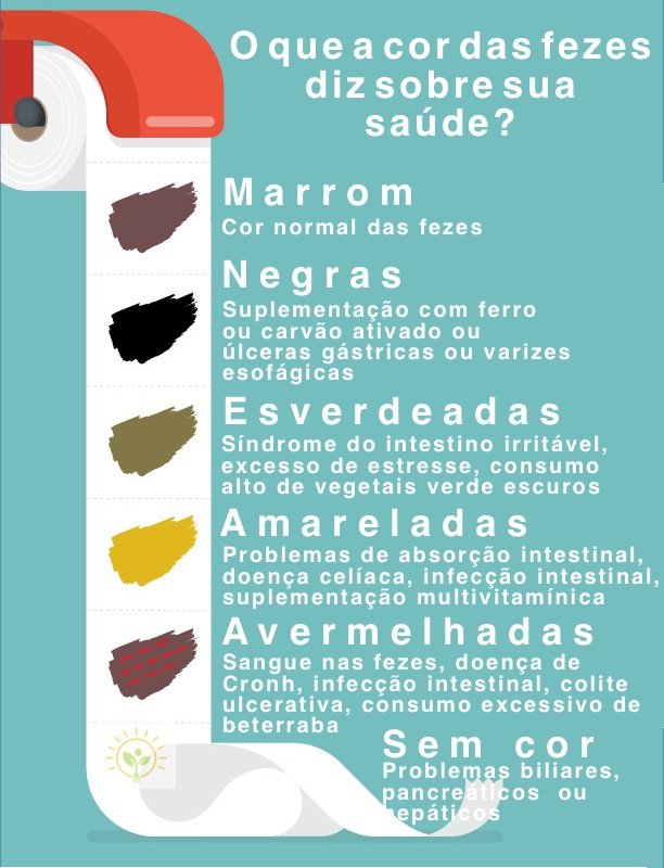 Fezes amarelas ou esverdeadas? Saiba o que a cor do cocô pode indicar sobre  a saúde - Clínica Gástrica Usuy