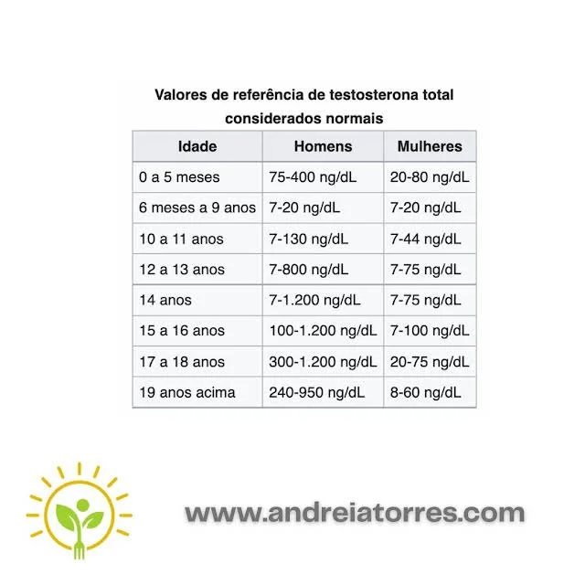 Estratégias naturais para manter os níveis de testosterona altos por mais tempo — ANDREIA TORRES