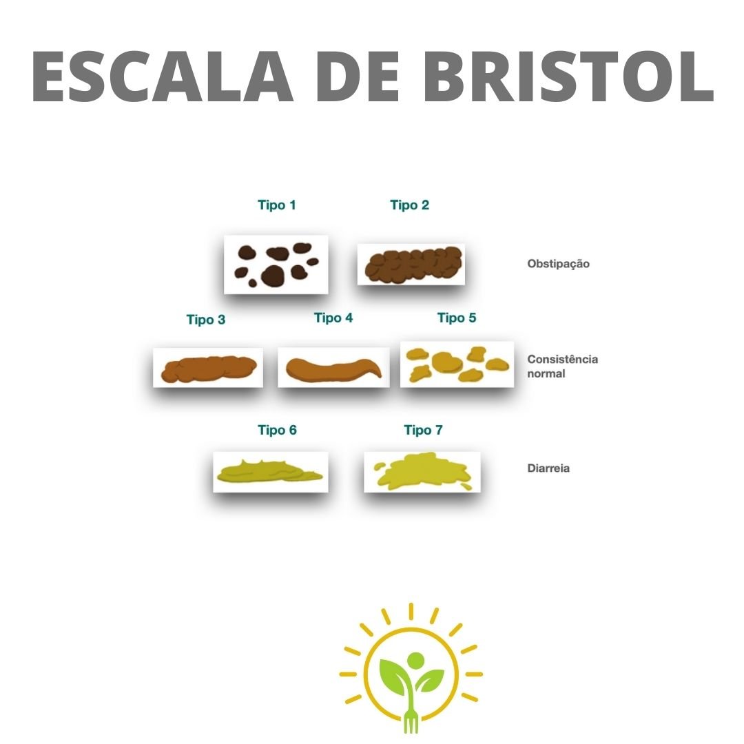 Como identificar os 7 tipos de fezes