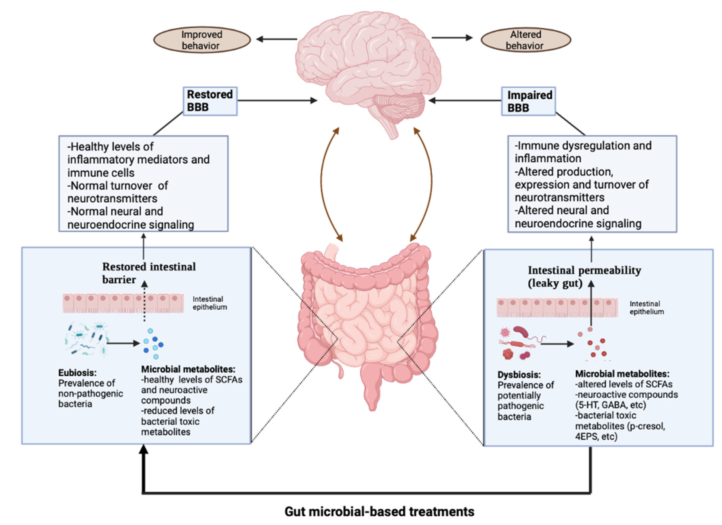 Disbiose, inflamação e doenças neuropsiquiátricas — ANDREIA TORRES