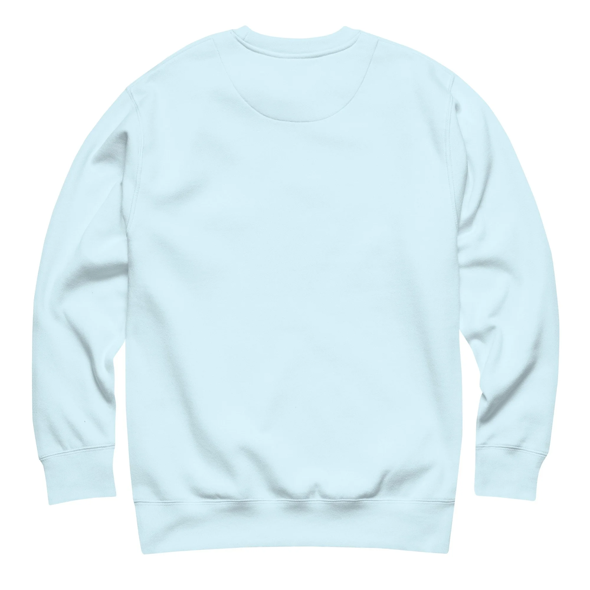 unisex-premium-sweatshirt-sky-blue-back-69e122e526d0f.jpg