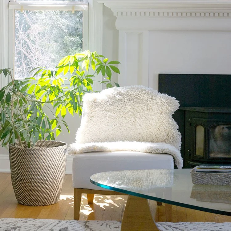 eye heart hand® hand-knotted nothing to hide rug