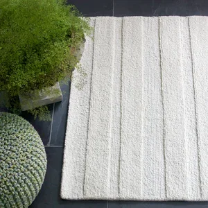 stripe-fernSQ.jpg.webp