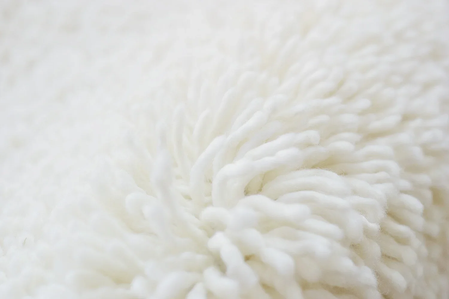 NTH_detailA_LORES.jpg.webp