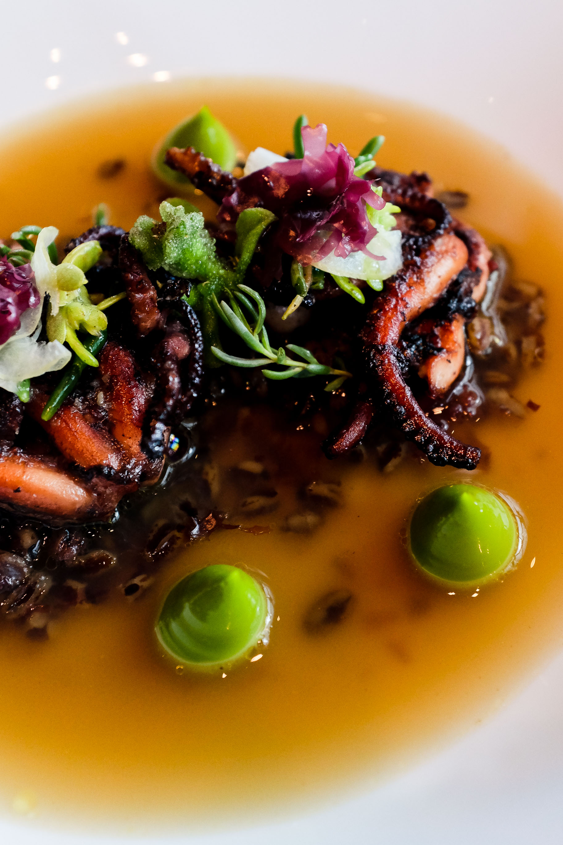 Frumenty (c.1390) - Grilled octopus, spelt, pickled red moss, chervil emulsion & smoked sea broth $38.00