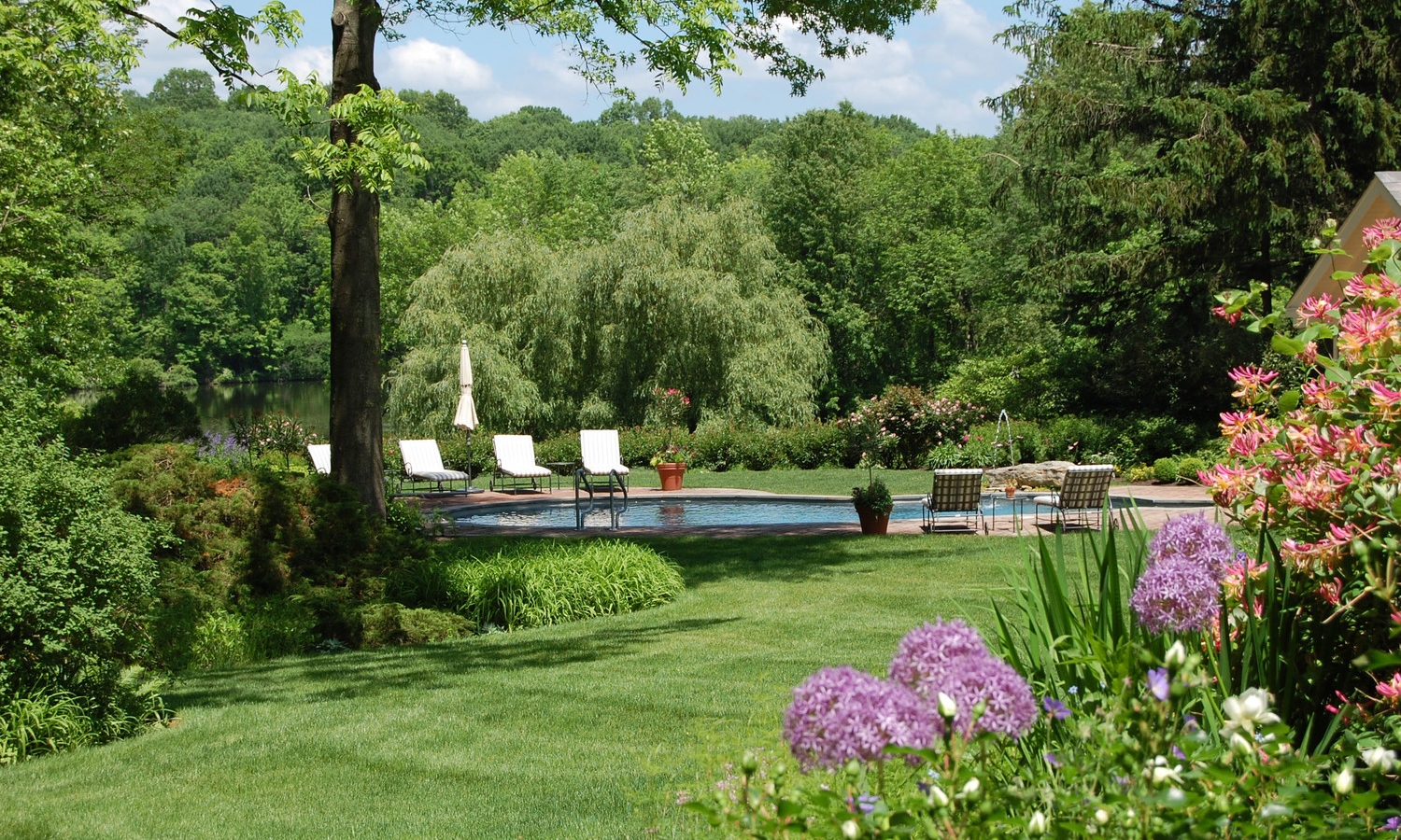 poolside lawn garden design