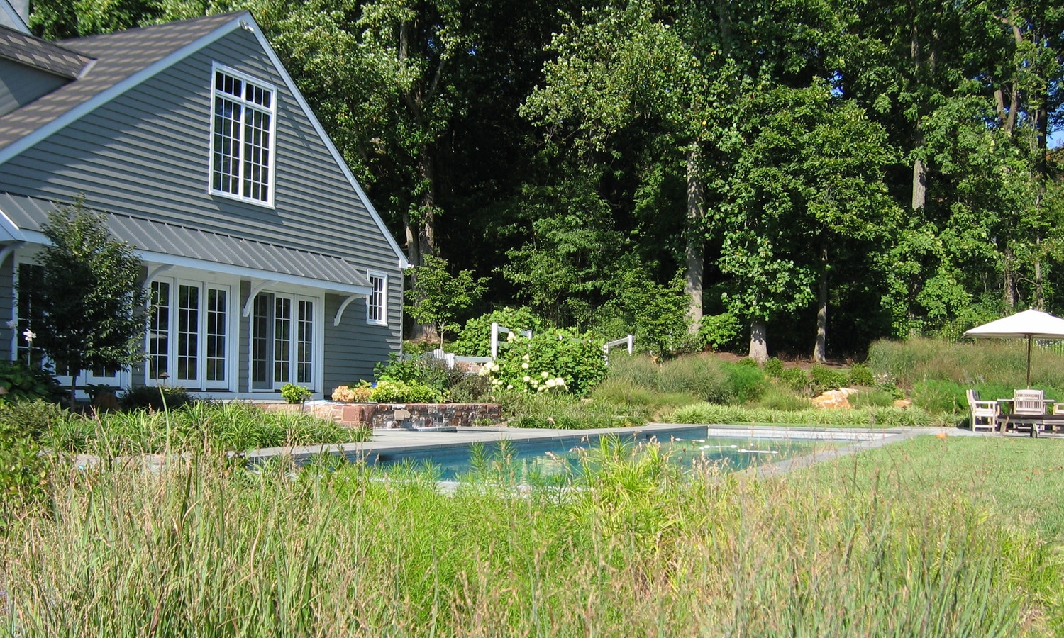 perennials and grasses by pool