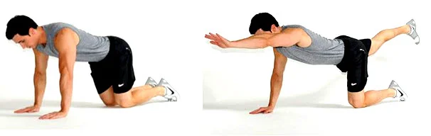 To do this exercise, start with your hands and knees on the ground. Extend one of your arms out in front of you as far as you can while extending the opposite leg behind you. Hold that position for 3 seconds and then slowly return to the starting position. Repeat this for 3 sets of 10 repetitions on each side. 