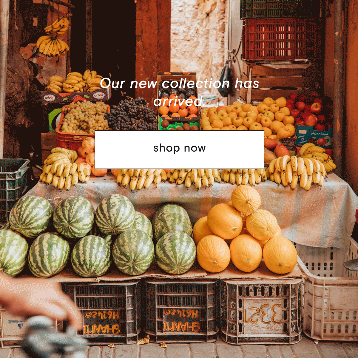 new-arrivals_email_FA_19.gif