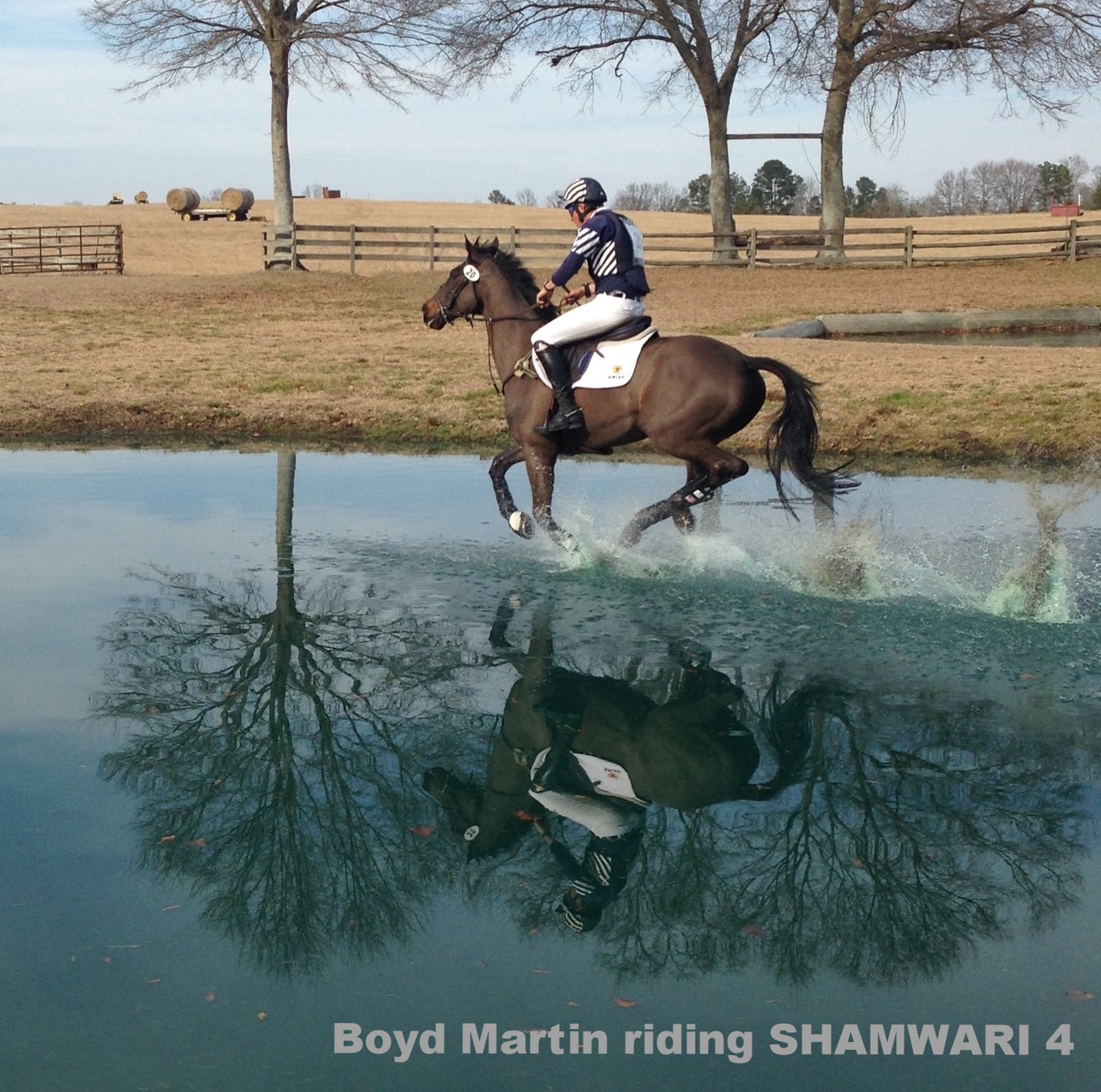 Boyd Martin riding SHAMWARI 4