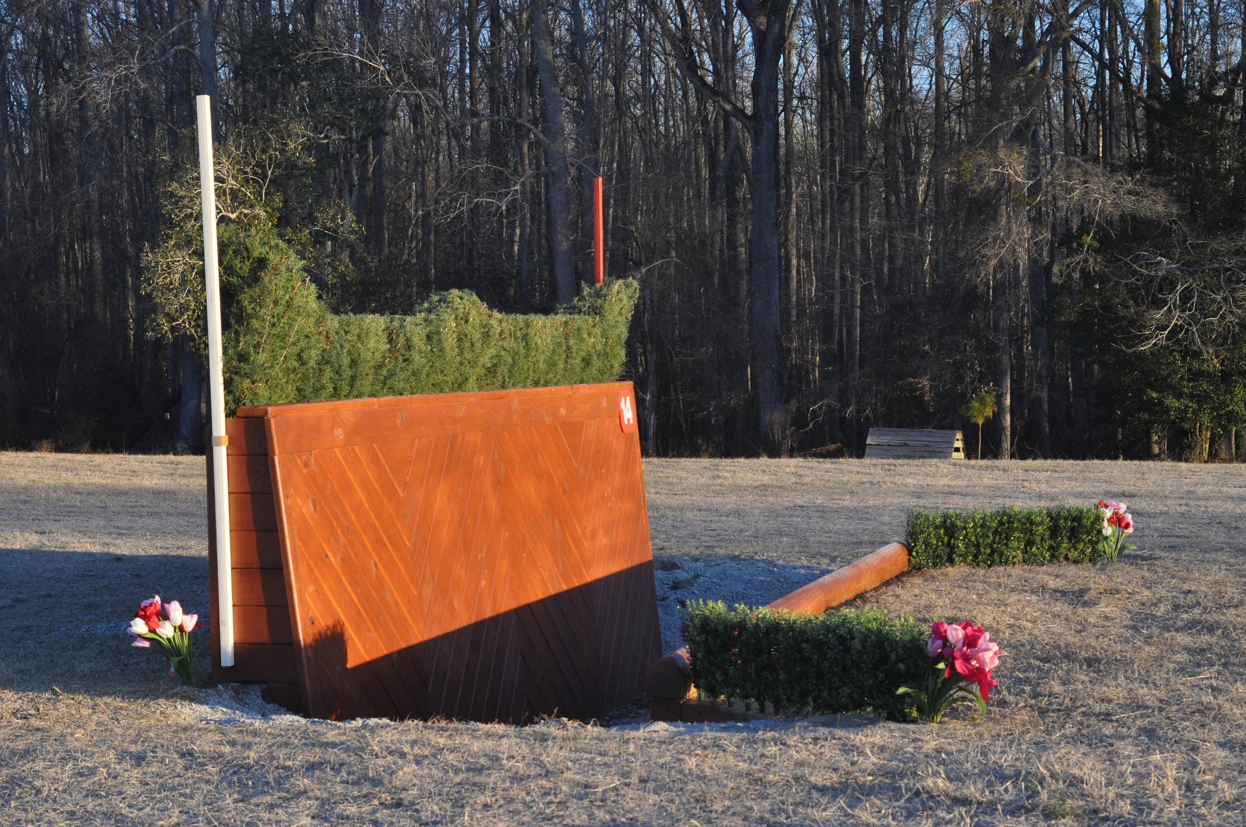 Pine Top Thanksgiving Horse Trials