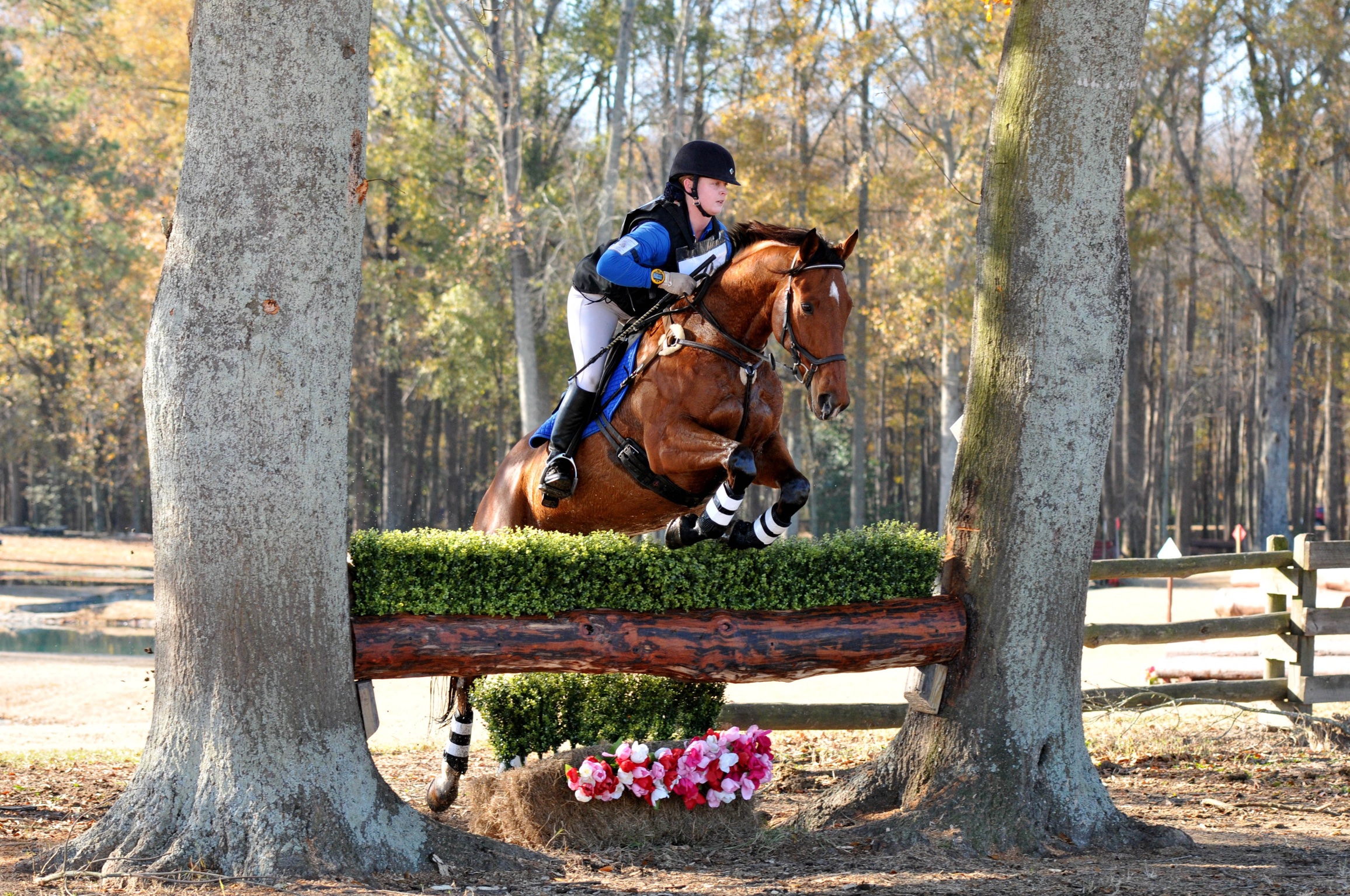  Solid Cross Country Jumps 