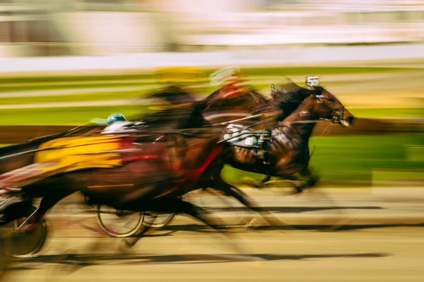 iStock_000040311114_Small.jpg